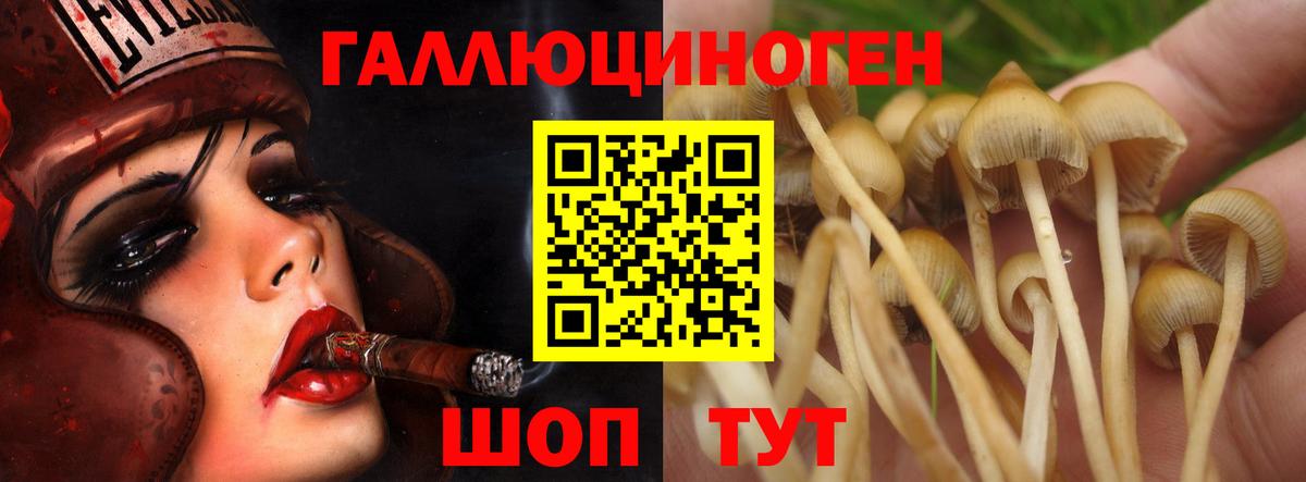 Галлюциногенные грибы GOLDEN TEACHER Благовещенск